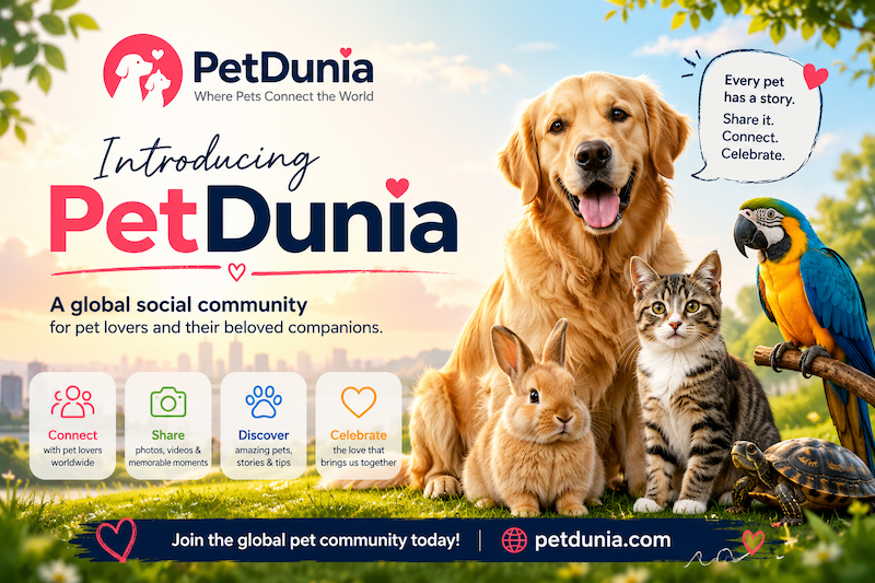 Introducing PetDunia: A Global Social Community Built for Pet Lovers